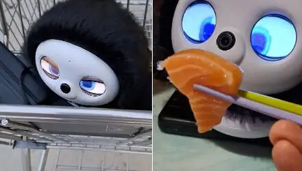 save-your-rent-money-cyberpal